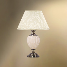      29-402.56/95556 Good light