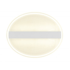   Ambrella Light FA606