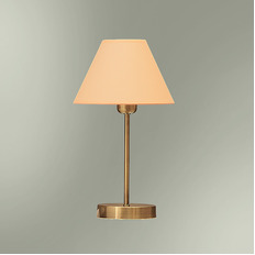      20-516/13755M Good light