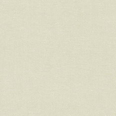 BN 219435  BN (Bazar) (1*12) 10,05x0,53   