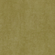 BN 46004  BN (Color Stories/Chacran II/50Shades of colour) (1*12) 10,050,53   