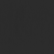 BN 17319  BN (Cubiq) (1*12) 10,05x0,53   