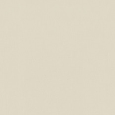 BN 220384  BN (Cubiq) (1*12) 10,05x0,53   