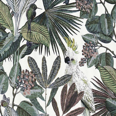 BN 220125  BN (Panthera) (1*12) 10,05x0,53   