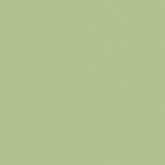 BN 219223  BN (Timeless Stories/Smalltalk) (1*12) 10,05x0,53   