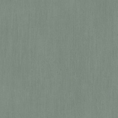 BN 219861  BN (Timeless Stories/Material World) (1*12) 10,05x0,53   