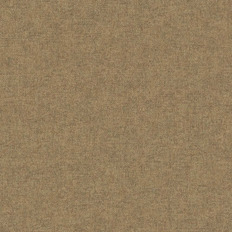 BN 220157  BN (Timeless Stories/Panthera) (1*12) 10,05x0,53   