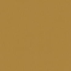 BN 220382  BN (Timeless Stories/Cubiq) (1*12) 10,05x0,53   