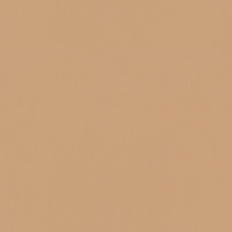 BN 220383  BN (Timeless Stories/Cubiq) (1*12) 10,05x0,53   