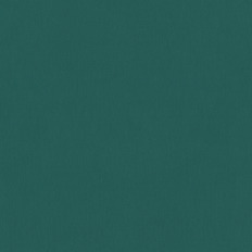 BN 220387  BN (Timeless Stories/Cubiq) (1*12) 10,05x0,53   