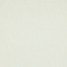 BN 17124  BN (Van Gogh 2/Van Gogh) (1*12) 10,050,53   