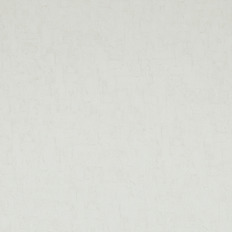 BN 17128  BN (Van Gogh 2/Van Gogh) (1*12) 10,050,53   