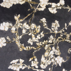 BN 17145  BN (Van Gogh 2/Van Gogh Limited Edition) (1*12) 10,050,53   