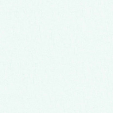 BN 220076  BN (Van Gogh 2) (1*12) 10,05x0,53   