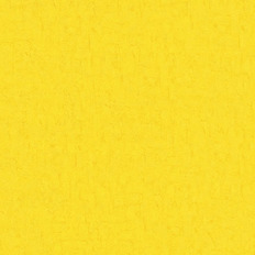 BN 220077  BN (Van Gogh 2) (1*12) 10,05x0,53   