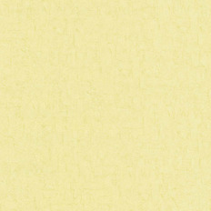 BN 220078  BN (Van Gogh 2) (1*12) 10,05x0,53   