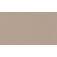 BN 4249361  BN (Tailor 2) (1*6) 10,05x1,06   