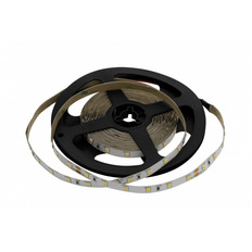  SWG SWG2P60-24-4.8-WW