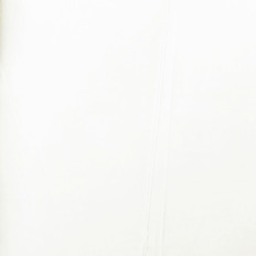 1867  Marburg (Patent Decor) (1*6) 10,05x0,75   