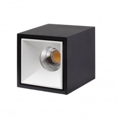   LeDron KUBING Black/White