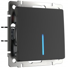 W1110108 Werkel     ( )