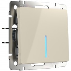 W1110103 Werkel     ( )