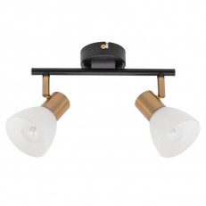  ARTE Lamp A3117PL-2BK