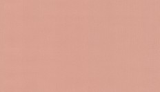 BN 220813  BN (Doodledoo) (1*12) 10,05x0,53   