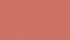 BN 220814  BN (Doodledoo) (1*12) 10,05x0,53   