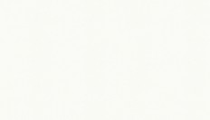 BN 220816  BN (Doodledoo) (1*12) 10,05x0,53   