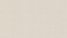 BN 220811  BN (Doodledoo) (1*12) 10,05x0,53   