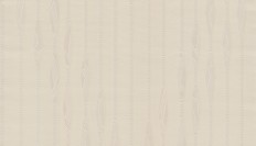 90016  Zambaiti (Lamborghini II) (1*6) 10,05x0,70   