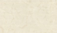 90029  Zambaiti (Lamborghini II) (1*6) 10,05x0,70   