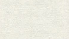 90036  Zambaiti (Lamborghini II) (1*6) 10,05x0,70   