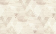 60244-02  Erismann (Callisto) (1*6) 10,05x1,06   