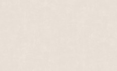 60271-02  Erismann (Callisto) (1*6) 10,05x1,06   