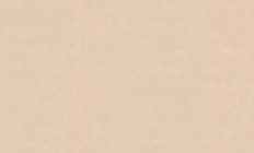 60271-04  Erismann (Callisto) (1*6) 10,05x1,06   