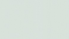 60287-05  Erismann (Callisto) (1*6) 10,05x1,06   