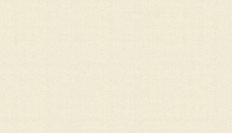 60290-04  Erismann (Callisto) (1*6) 10,05x1,06   