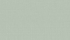 60290-06  Erismann (Callisto) (1*6) 10,05x1,06   