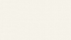 60290-08  Erismann (Callisto) (1*6) 10,05x1,06   