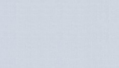 60290-11  Erismann (Callisto) (1*6) 10,05x1,06   