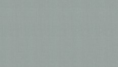 60290-13  Erismann (Callisto) (1*6) 10,05x1,06   