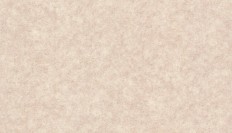 60210-06  Erismann (Marseille) (1*6) 10,05x1,06   