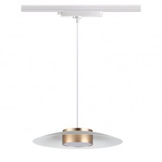 C    Novotech 358896