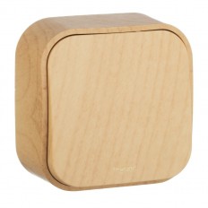   Legrand Quteo 10A 250V  782260