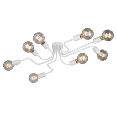   Vitaluce V4196-0/8PL