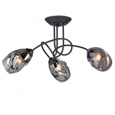   Vitaluce V4939-1/3PL