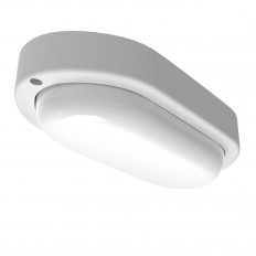 -   Gauss Elementary 161411315