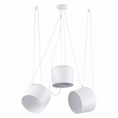   Evoluce Trieste SLE120653-03